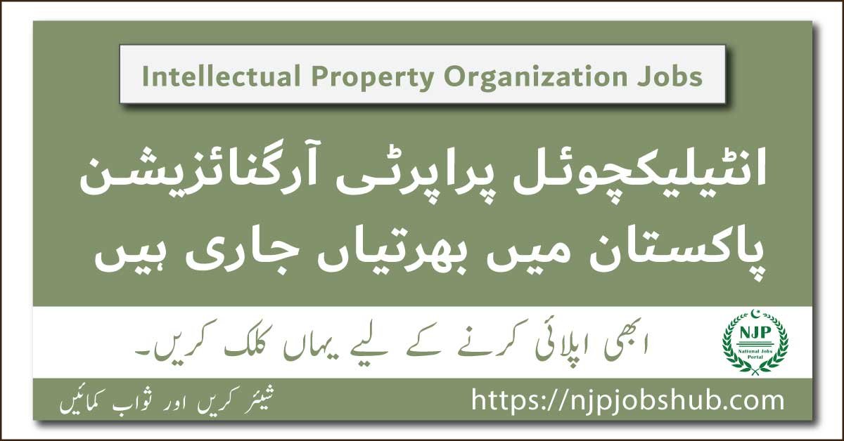 Intellectual Property Organization IPO Jobs 2024